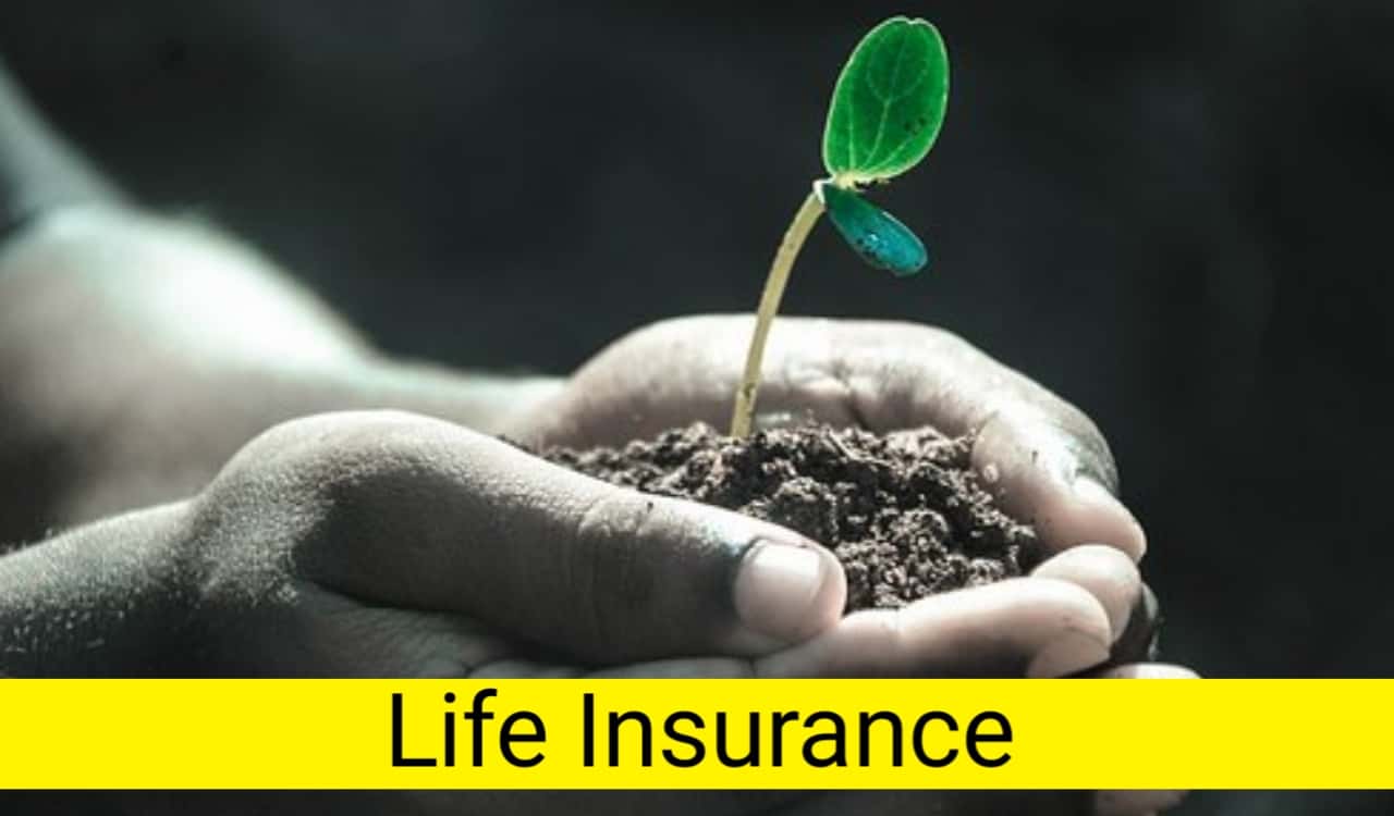 Life Insurance - Types of Insurance