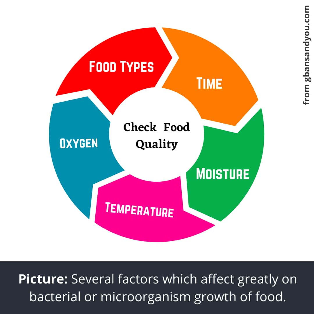 Factors that greatly impact on bacterial growth of food