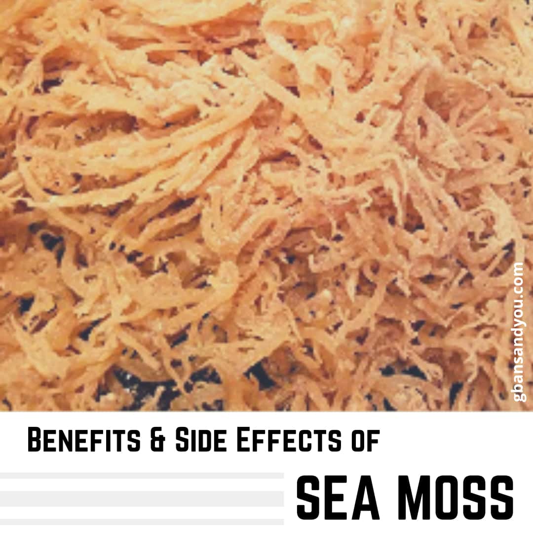Sea Moss Health Benefits & Side Effects