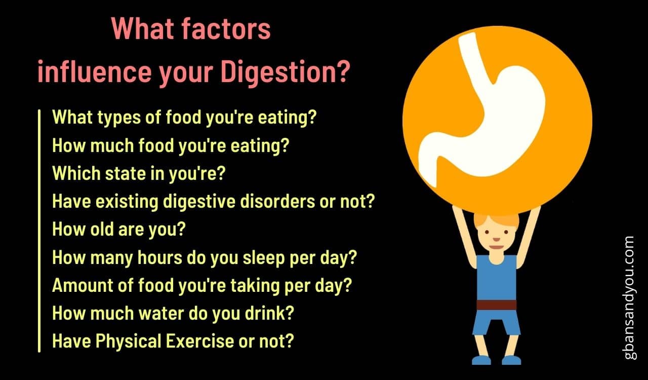 What factors influence your Digestion?