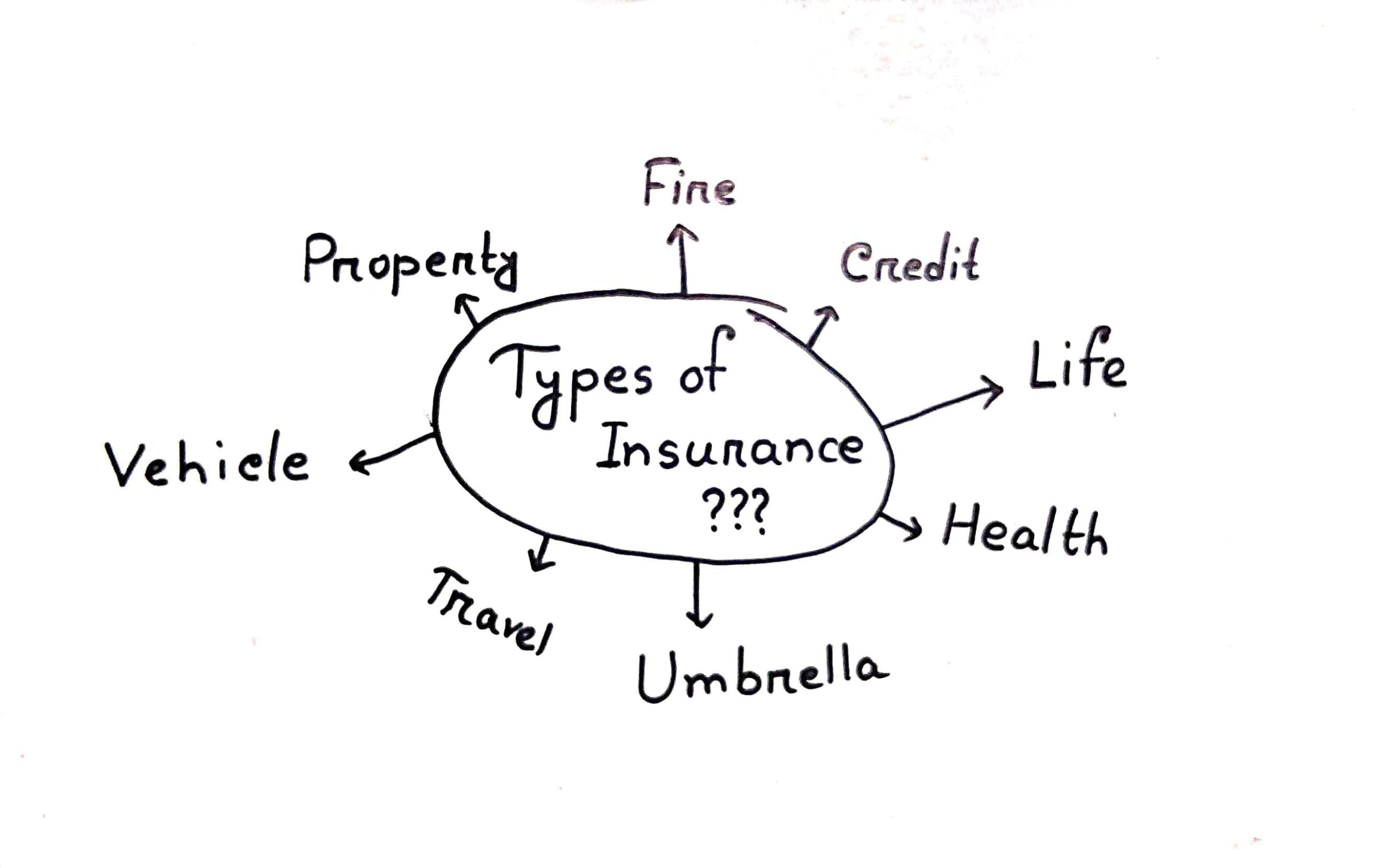 How many types of Insurance are there?