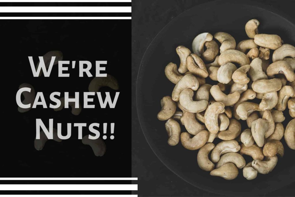 Amazing Cashew Nuts Health Benefits, enough to make your day
