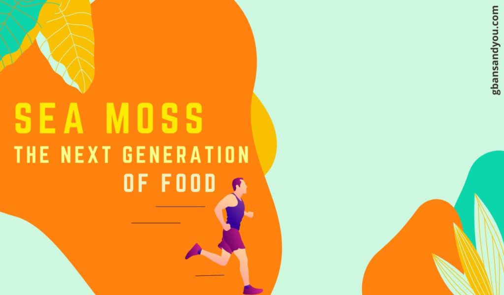 Sea Moss: THE NEXT FUTURE GENERATION FOOD | Sea Moss Health Benefits